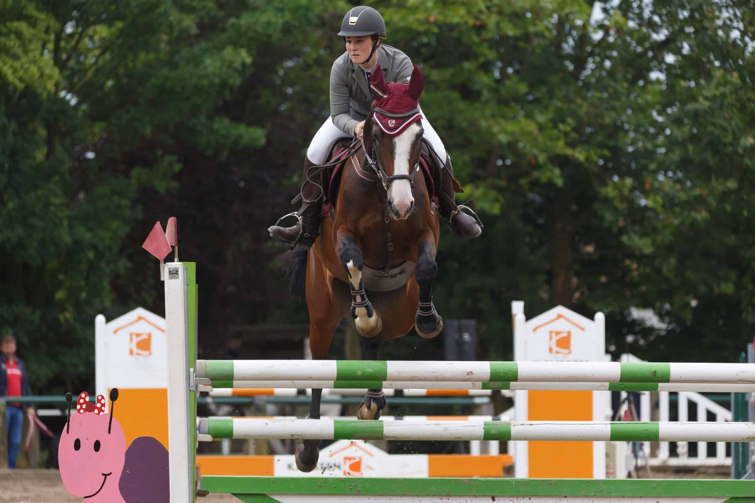 A person jumps over an obstacle with a horse
