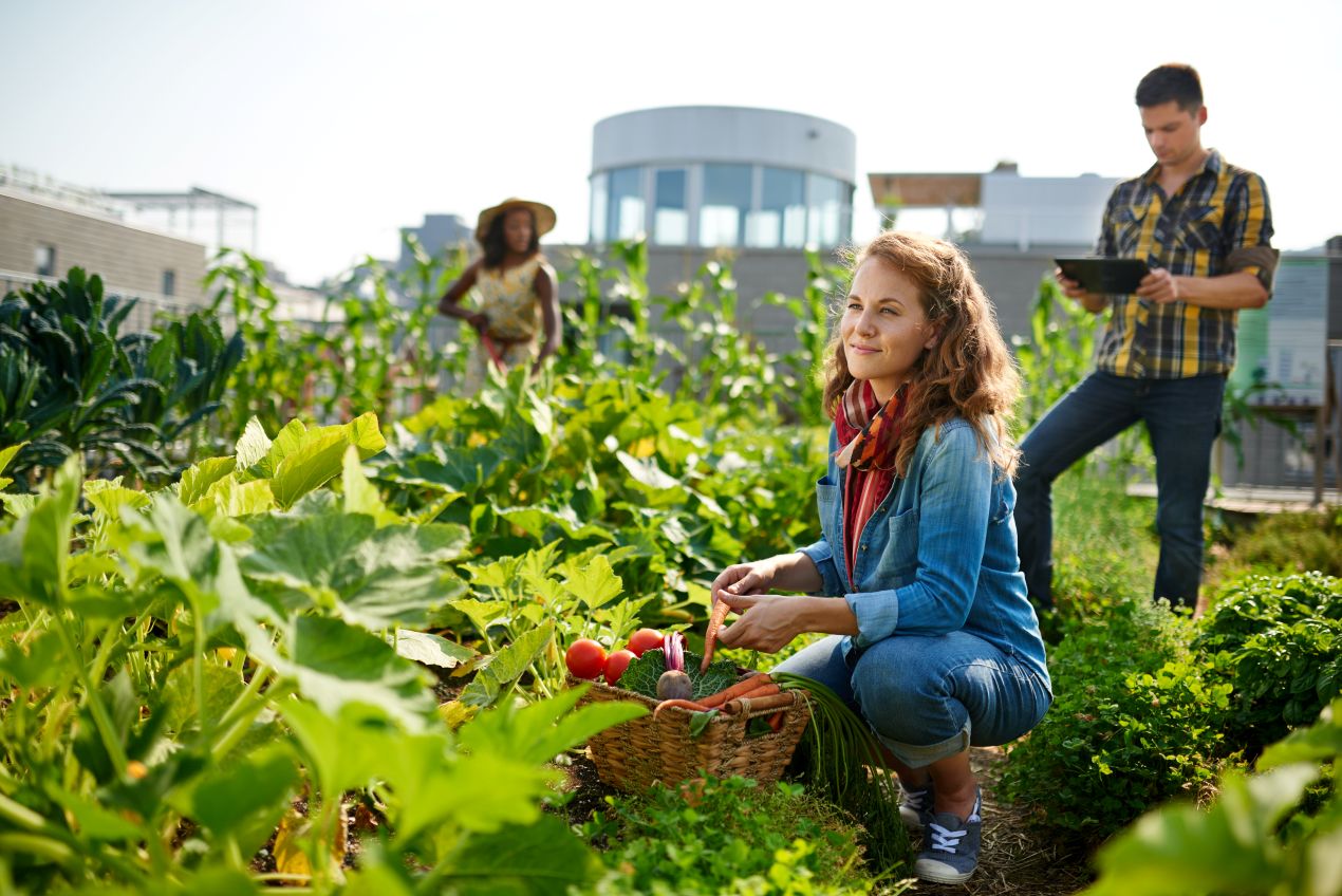 Urban Gardening im Kleinformat: Chancen und Grenzen auf begrenztem Raum